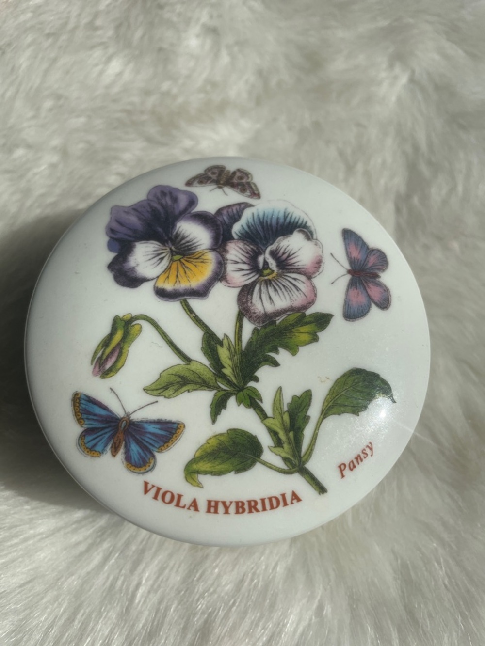 🌷 NEW Portmeirion Pansy Viola Hybridia Trinket Box in Purple, Yellow, Green